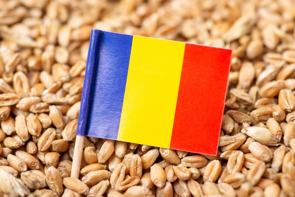 Romania’s wheat harvest is large enough to cover its domestic needs and ensure a surplus for exports. (Shutterstock)
