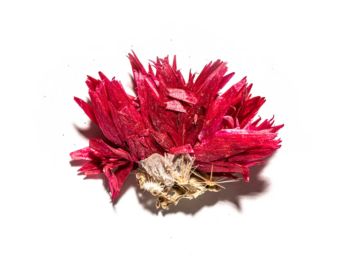 Lebanese photographer focuses on remnants of Beirut blast in his 'Pieces' series