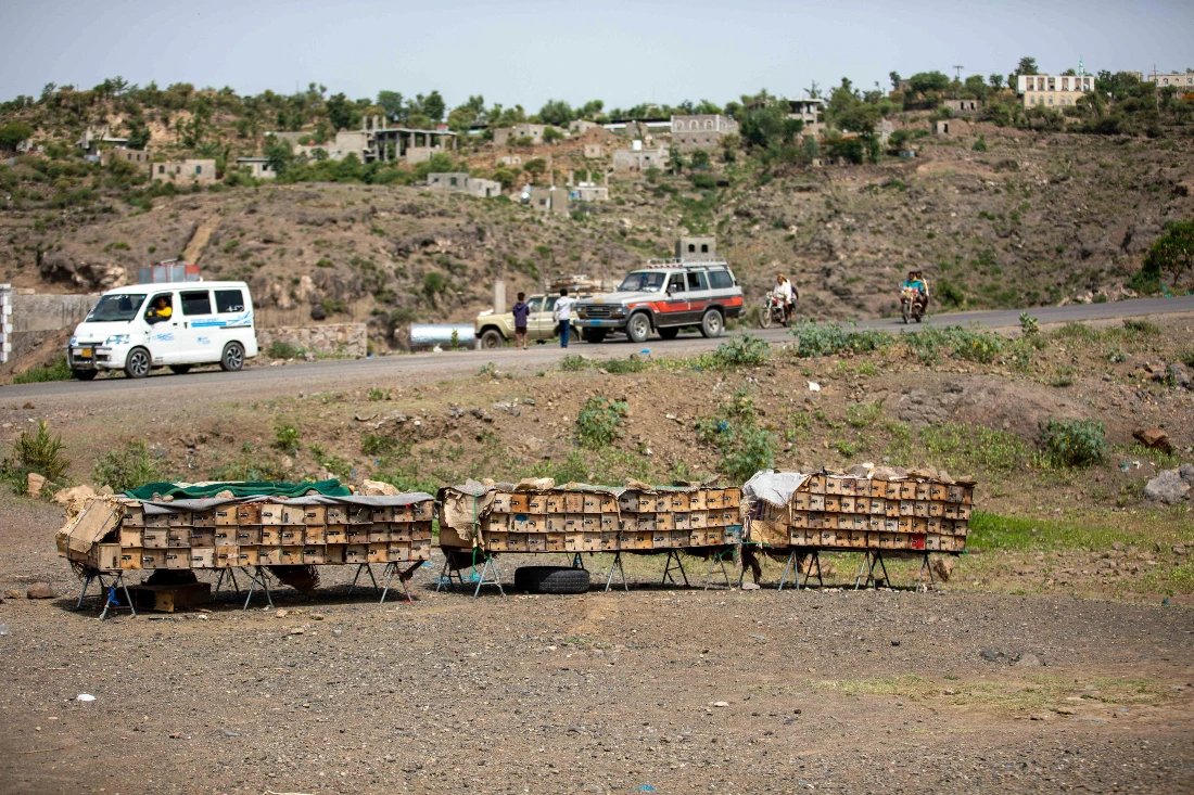 Yemeni minister condemns Houthi snipers targeting citizens after truce