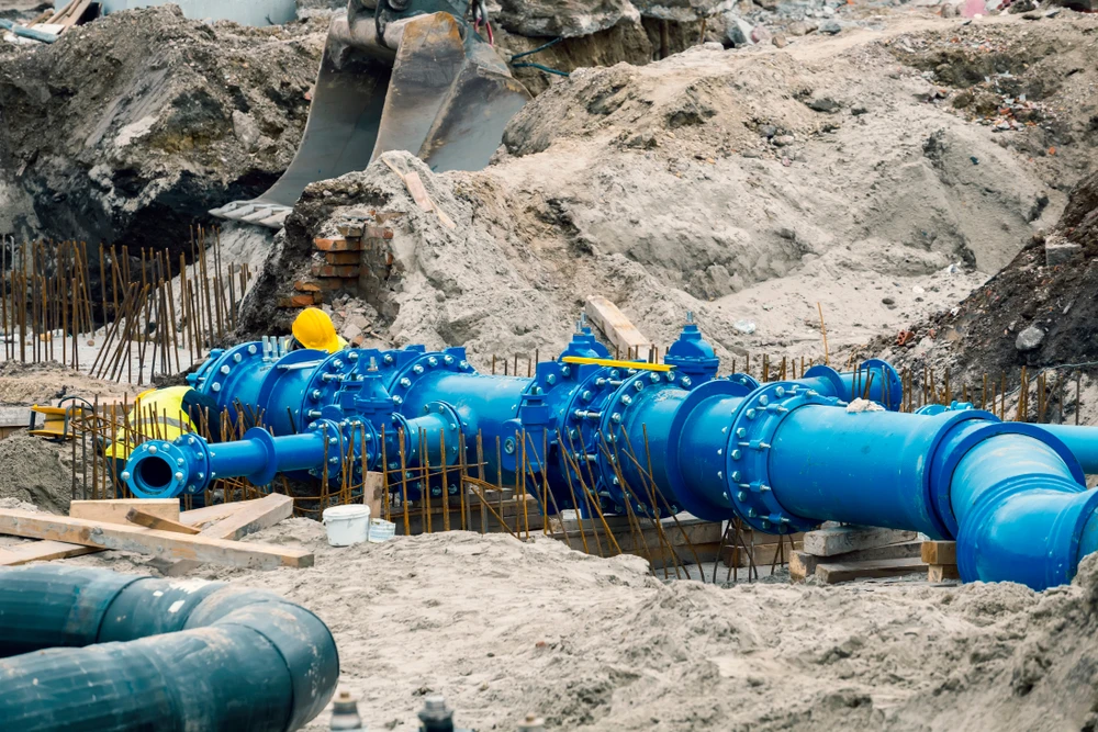 35 firms including 23 local companies had expressed interest in the contract. (Shutterstock)