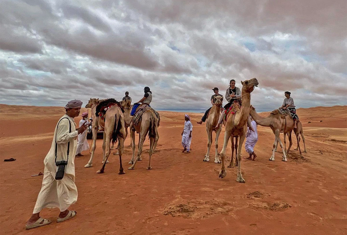 Handlers guide their camels in Oman on July 13, 2022. (adcrc.me/Facebook)