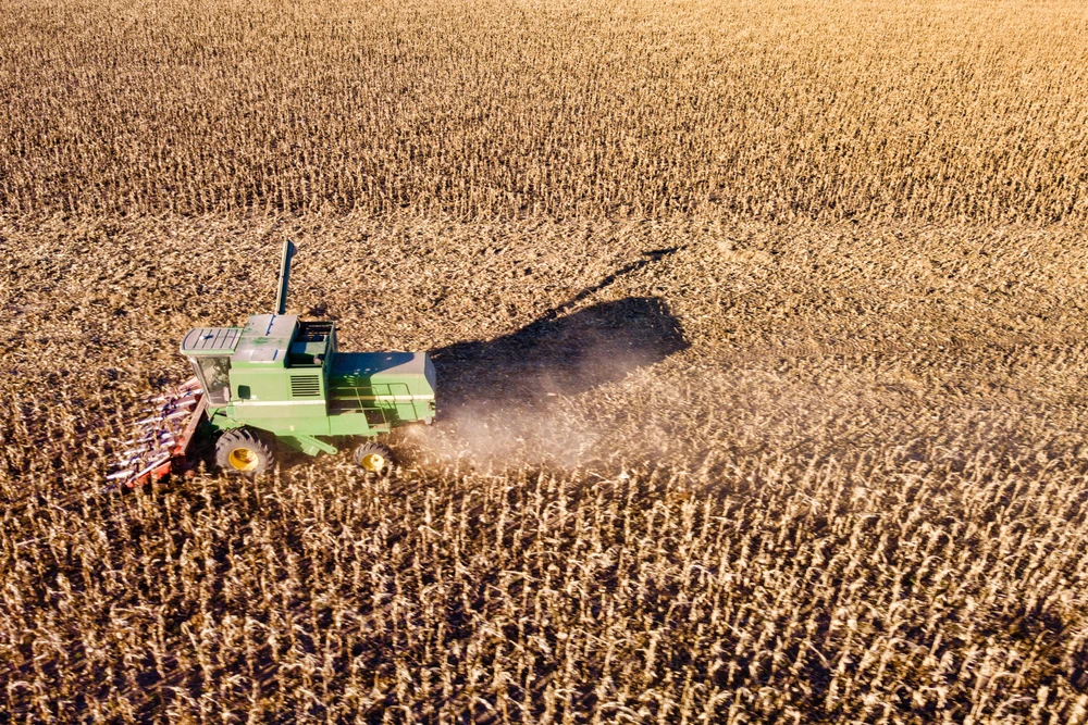 Commodities Update — Gold slips; Corn, wheat fall; Argentina forecasts corn harvest at 55m tons