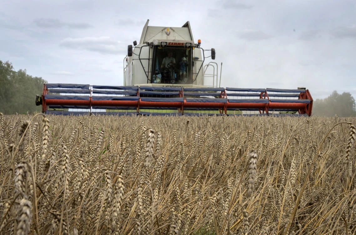 Ukraine was seen as the world’s bread basket before the war, exporting 4.5 million tons of agricultural produce a month through its ports. Above, harvest time in an Ukrainian wheat farm. (AP)