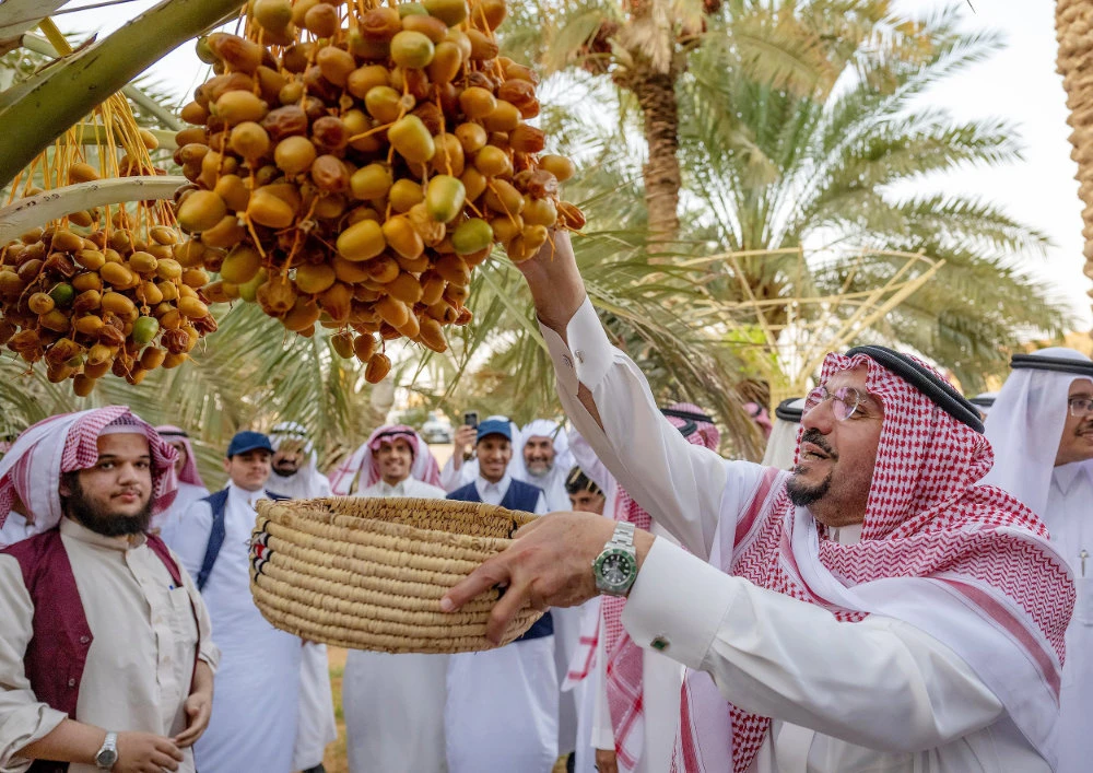 Palm Harvest Initiative launched in Saudi Arabia’s Shimasiyah