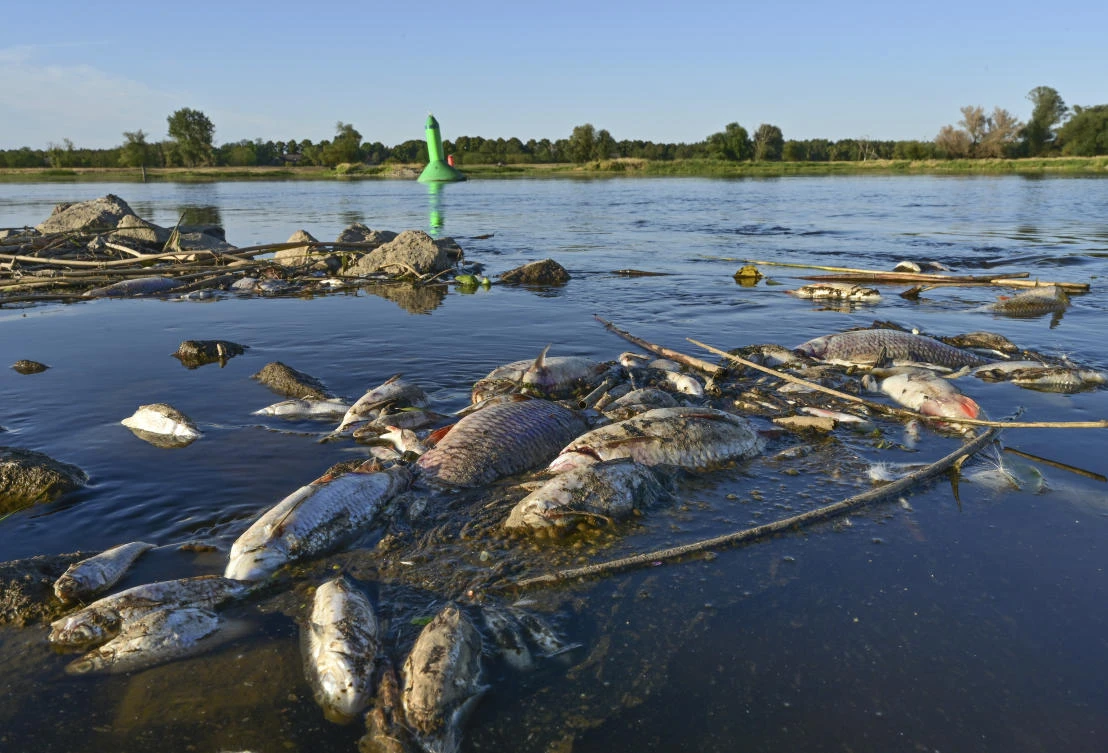 Tests are ongoing in Germany to establish the substance that may have led to the deaths, but there are early indications of extremely high levels of mercury — although authorities said final results are still pending. (File/DPA via AP)