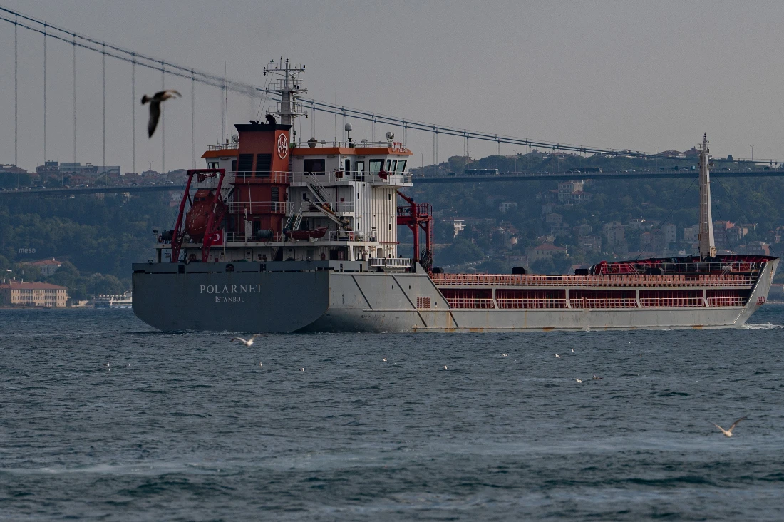 A total 16 ships have departed from Ukraine following deal with Russia to allow resumption of grain exports from Ukraine’s Black Sea ports. (AFP)