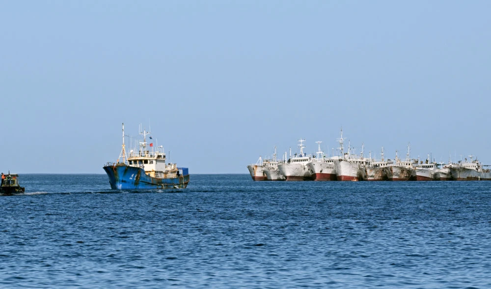 Saudi ministry warns against catching small fish
