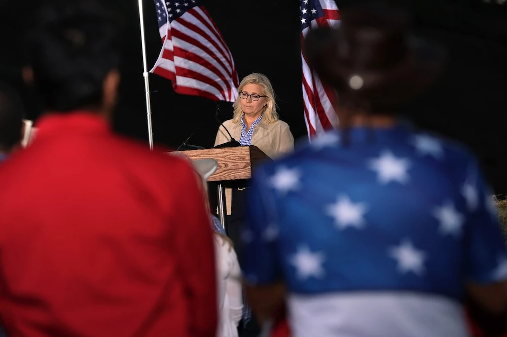 Top Republican Trump critic Liz Cheney loses seat in US Congress