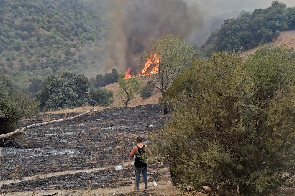 38 dead, hundreds flee their homes as forest wildfires ravage north Algeria