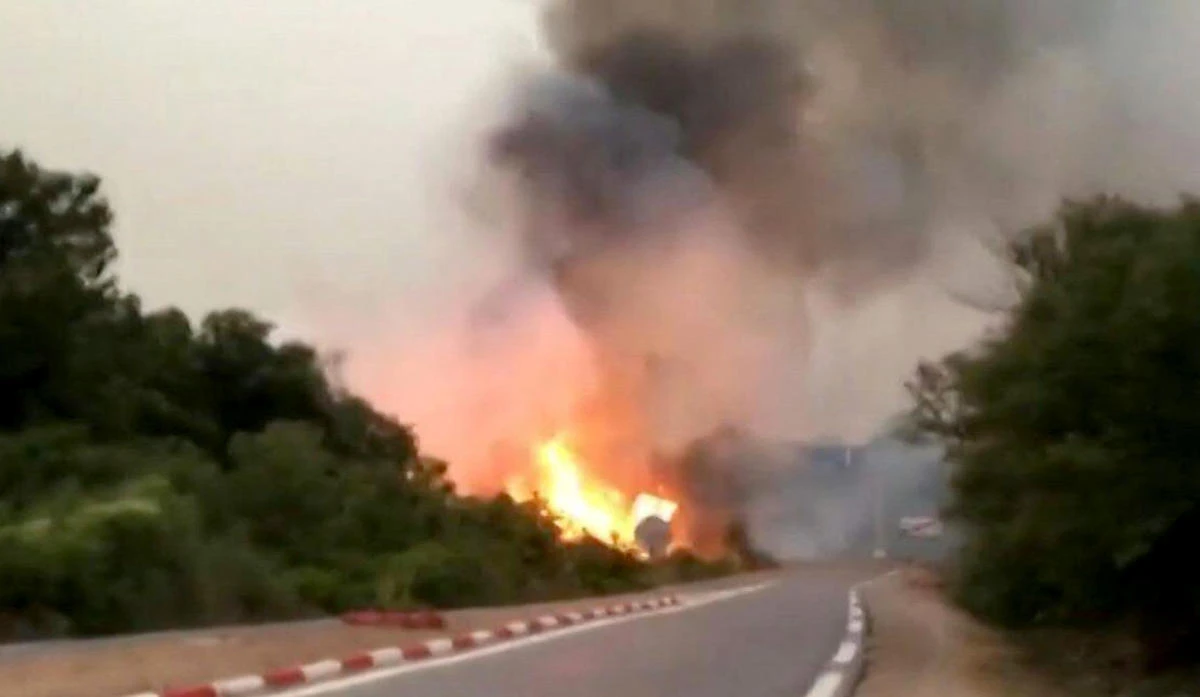 Deadly wildfires contained in Algeria after homes, livelihoods lost