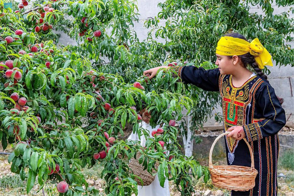 Saudi ministry launches ‘It’s time’ campaign to support seasonal fruits