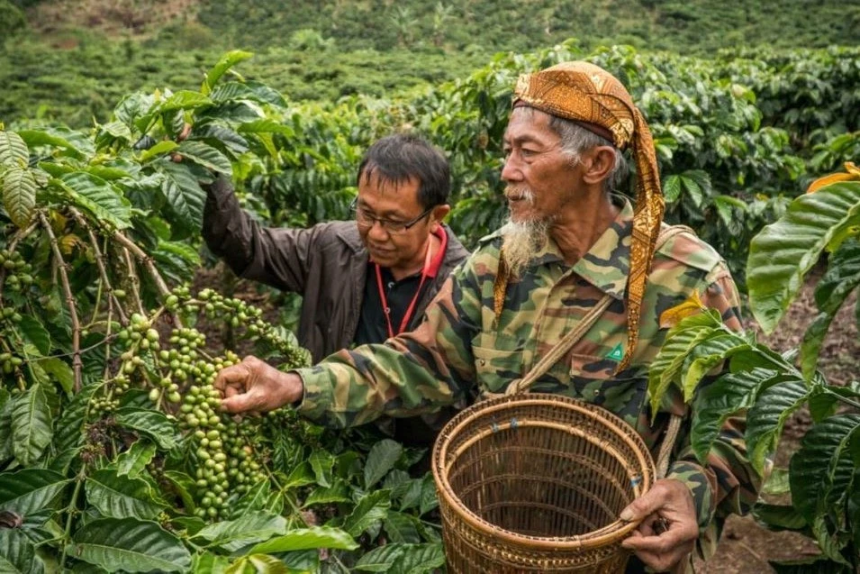 A coffee farmer is given advice by an agronomist and coffee expert in Yayasan village, South Sumatra, Indonesia, Nov. 2017. (Reuters)