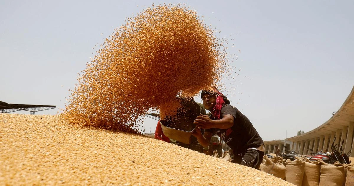 Egypt, one of the world’s biggest wheat importers, has sought to diversify its suppliers since facing higher global prices and disruptions to purchases from the Black Sea after Russia’s invasion of Ukraine in February.