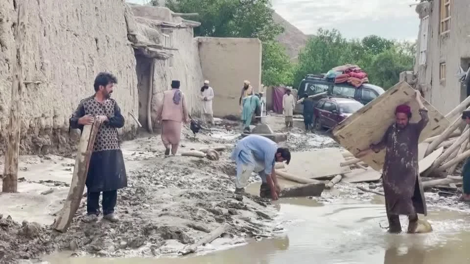 The deluge from seasonal rains in Afghanistan has wiped out animals, houses and agricultural lands. (Reuters)