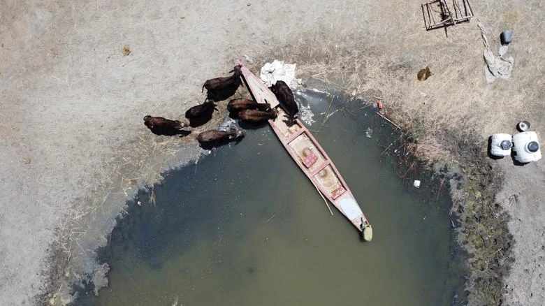 Iraq takes measures to reduce water scarcity effects on lands in Dhi Qar
