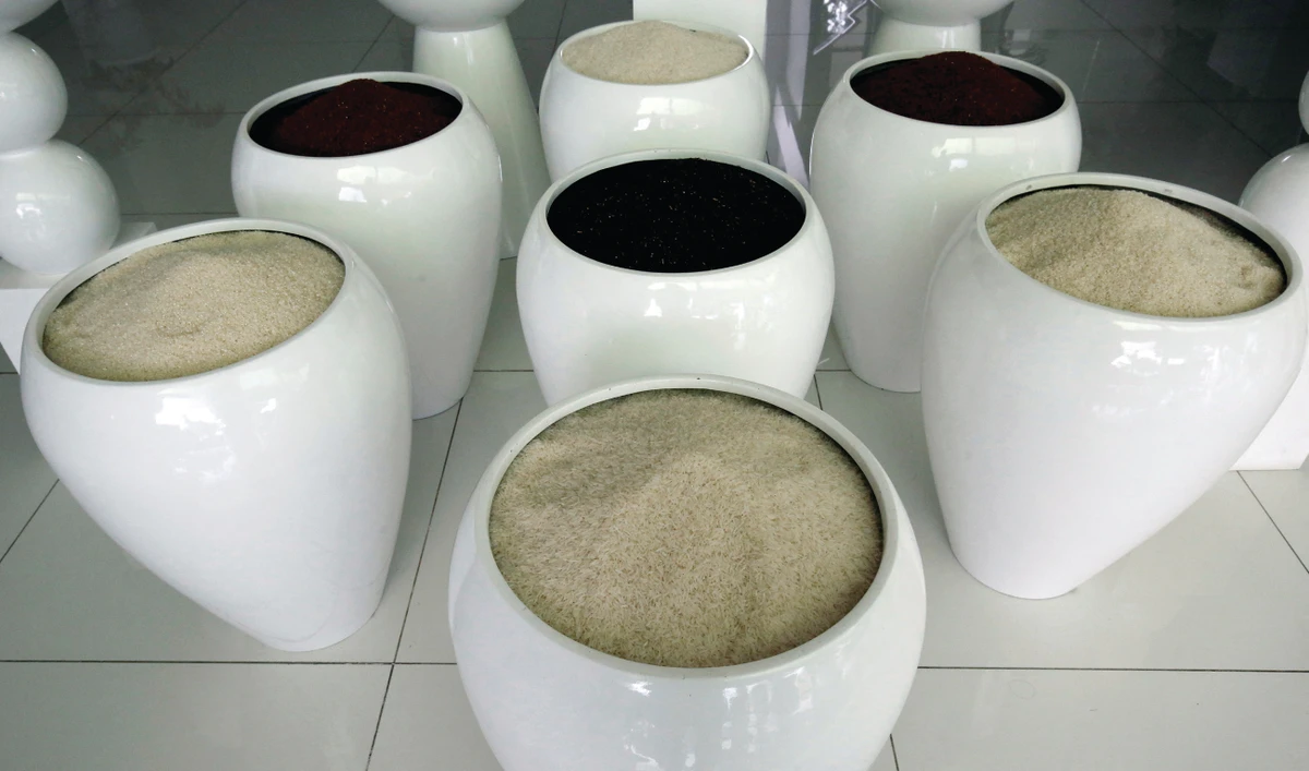 Bangladesh to import rice from Vietnam and India to replenish reserves
