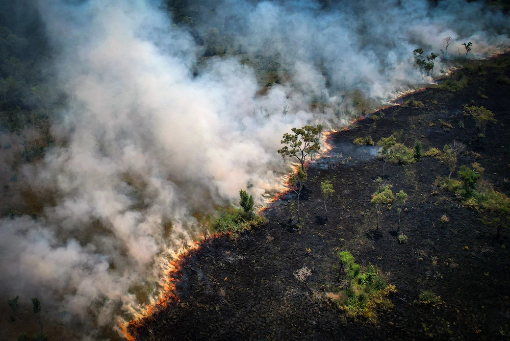 Aerial view of a burnt area in the Amazon rainforest, near the Lago do Cunia Extractive Reserve, on the border of the states of Rondonia and Amazonas, northern Brazil. (AFP)