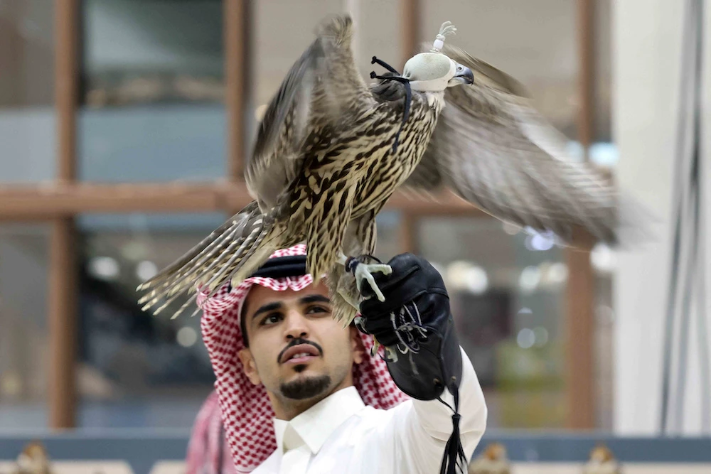 The falcons on auction at the Saudi International Falcons and Hunting Exhibition in Riyadh has attracted widespread interest. (Reuters)