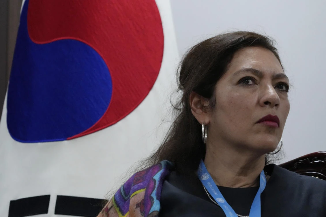 The newly appointed UN special rapporteur on North Korean human rights, Elizabeth Salmon, visited Seoul to discuss the situation in the North. (AP)