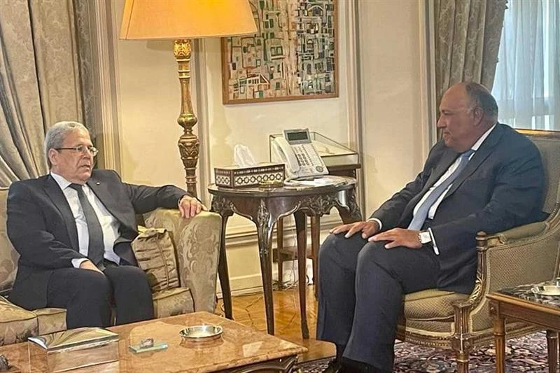 Egypt s Minister Sameh Shoukry in his meeting with his Tunisian counterpart Othman Jerandi in Cairo on Monday. (Egyptian Foreign Ministry)