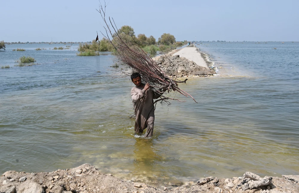 A flood-affected carrying firewood wades through a flooded area after heavy monsoon rains on the outskirts of Jacobabad, Sindh province on September 6, 2022. (AFP)
