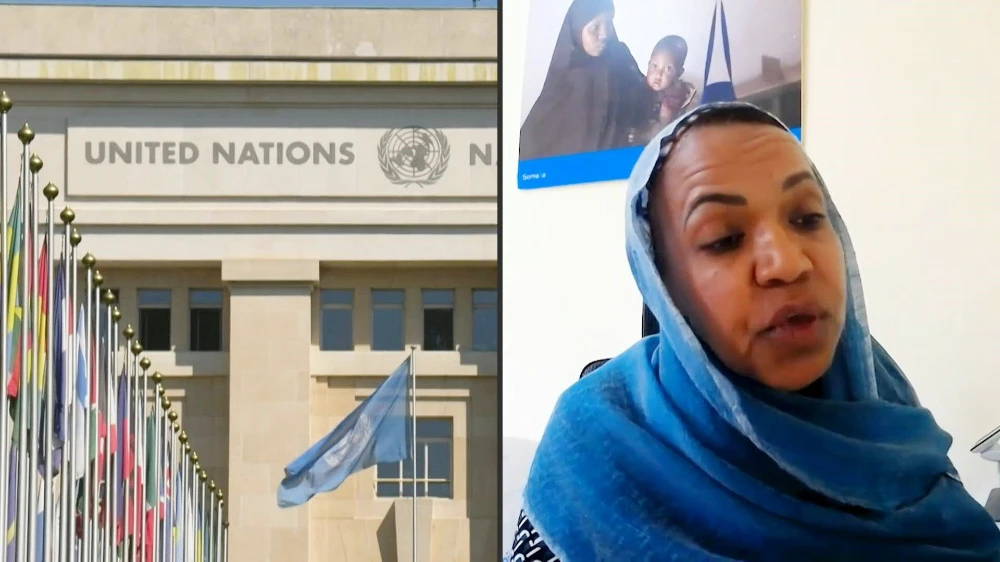 Around 730 children are reported to have died in nutrition centres across the country" warns UNICEF Somalia Representative Wafaa Saeed during a press conference in Geneva. (AFP)