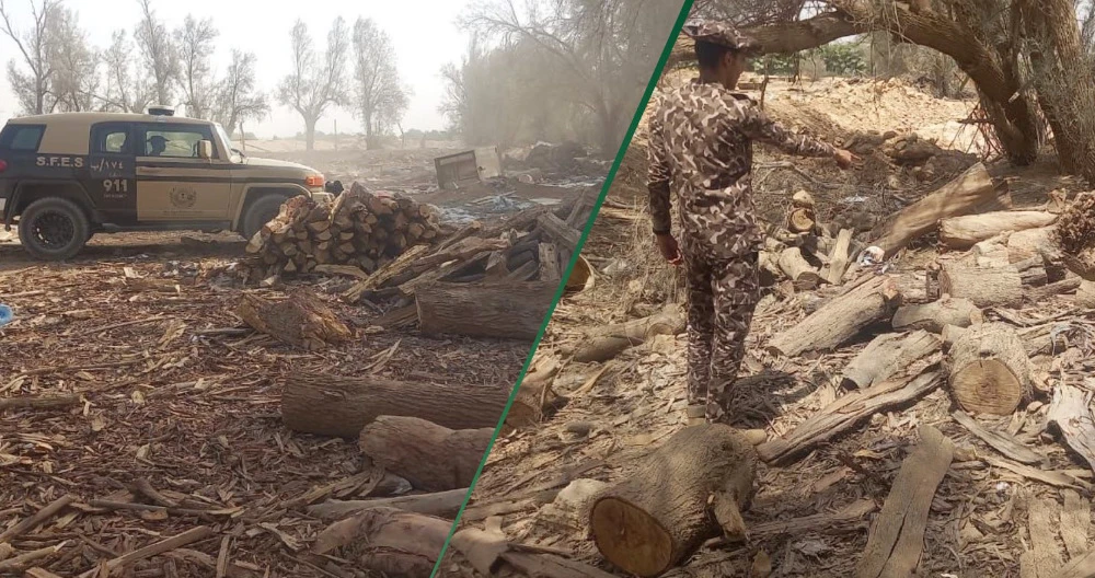Saudi Special Forces for Environmental Security personnel have arrested firewood smugglers in Riyadh. (Twitter @SFES_KSA)