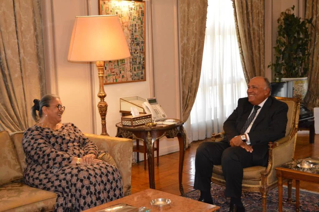 Sameh Shoukry met UN’s special envoy to the Horn of Africa Hanna Tetteh in Cairo. (@MfaEgypt)
