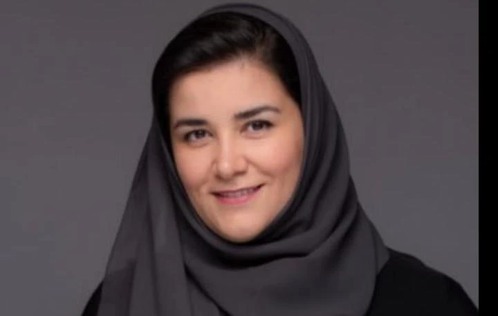 Ministry of Culture plans to export architectural ideas designed in Saudi, says commission CEO