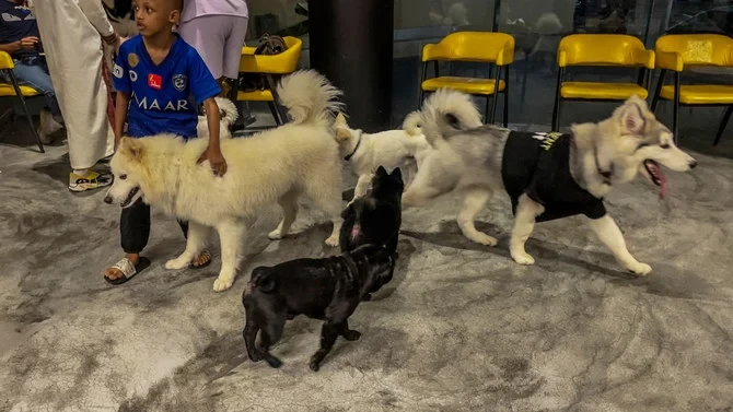 Welcome to ‘The Barking Lot,’ Saudi Arabia’s first dog cafe