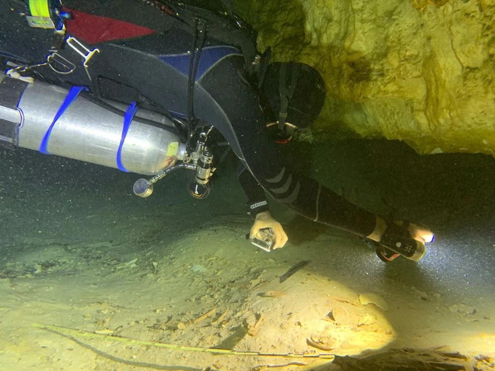 Ancient skeleton found in Mexico cave threatened by tourist train project