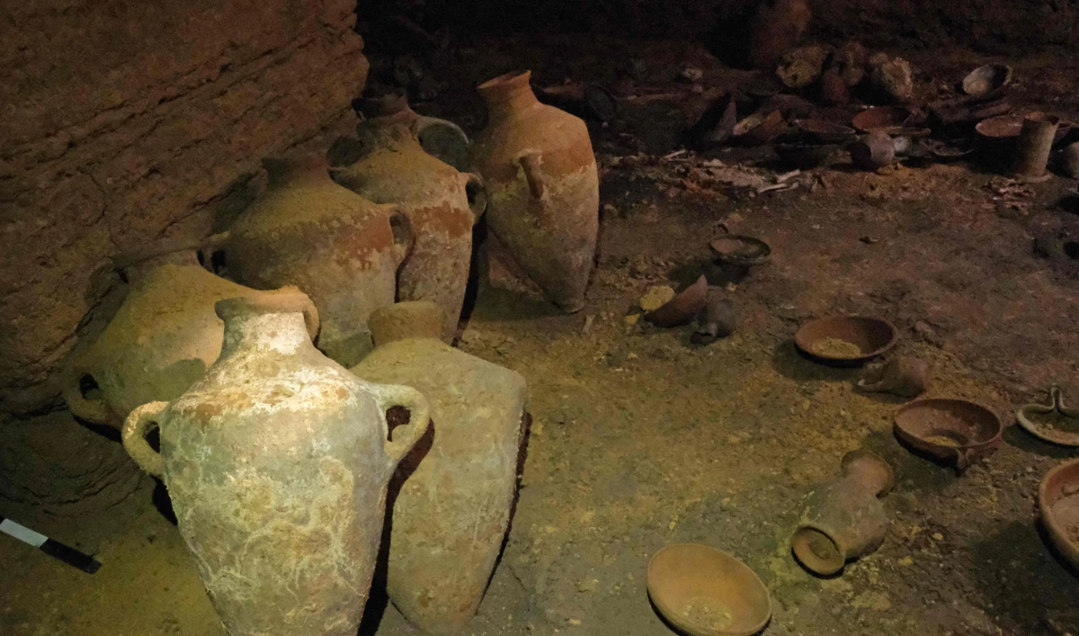 Finds including pottery vessels, dating back to the thirteenth century BCE during the rule of Egypt's Pharaoh Rameses II, discovered untouched in a funerary cave at the central Palmachim park area on the Mediterranean coast. (AFP)