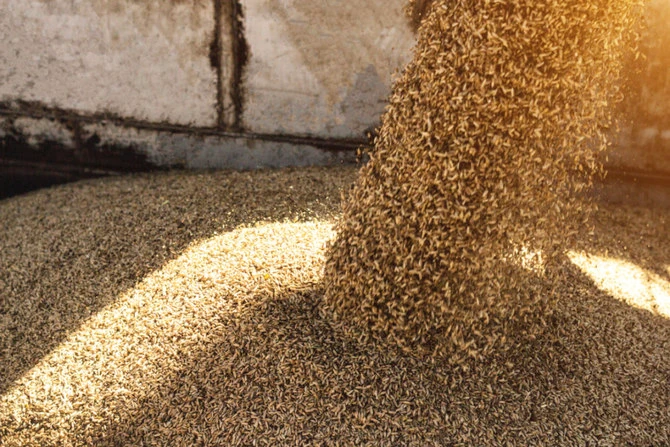 SAGO issues tender to import 556k metric tons of wheat