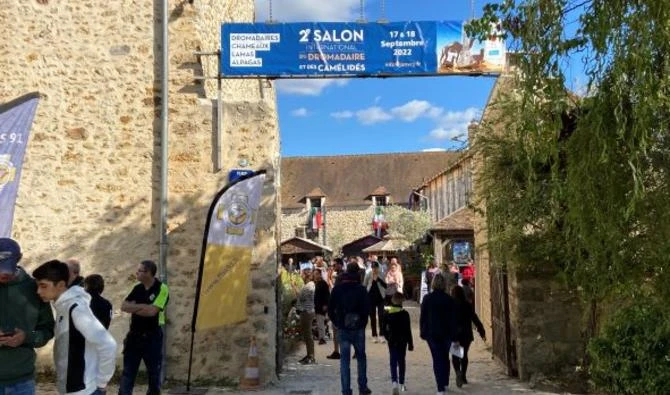 The second edition of the International Camel and Camelid Show took place on September 17 and 18 in Janvry, a town located in the south-west of Paris. (Supplied)