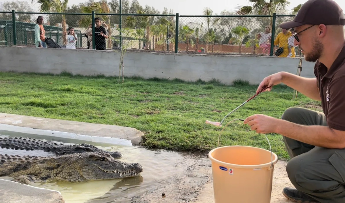 Reptile Land was part of the Jeddah Season and is located in the Jeddah Jungle zone. (Supplied)