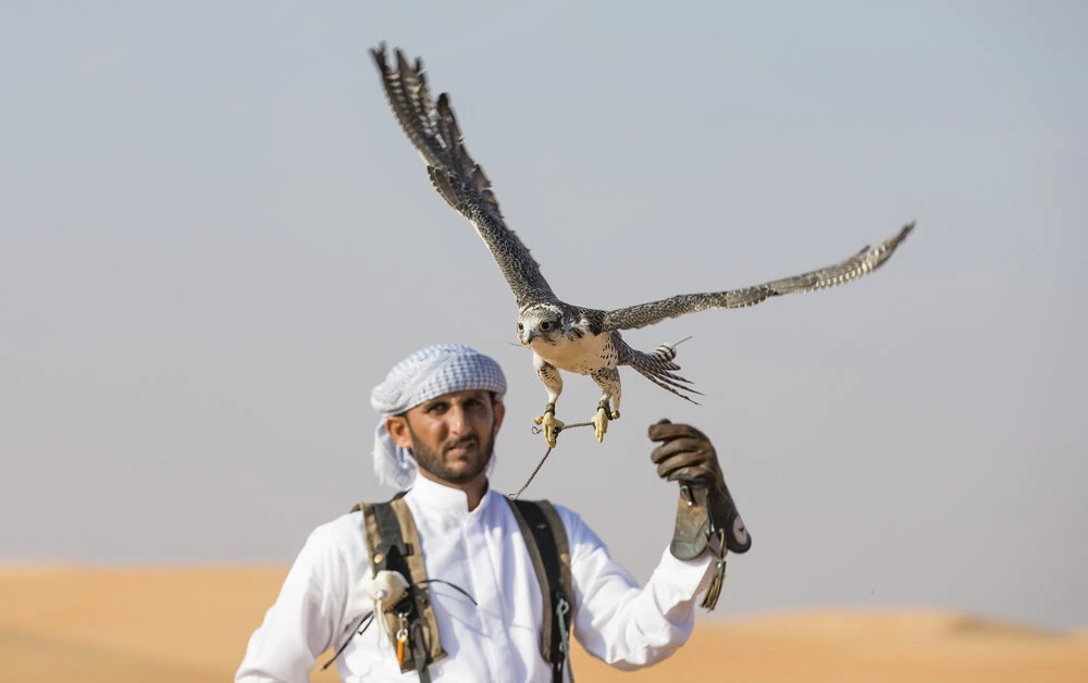 The Emirates Falconers Club hosts in Abu Dhabi a global conference on the role of indigenous people and local communities in linking intangible cultural heritage and wildlife conservation. (Shutterstock)