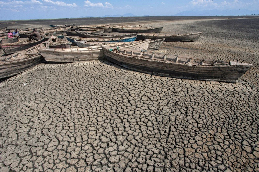 Africa must chart its own course on climate change