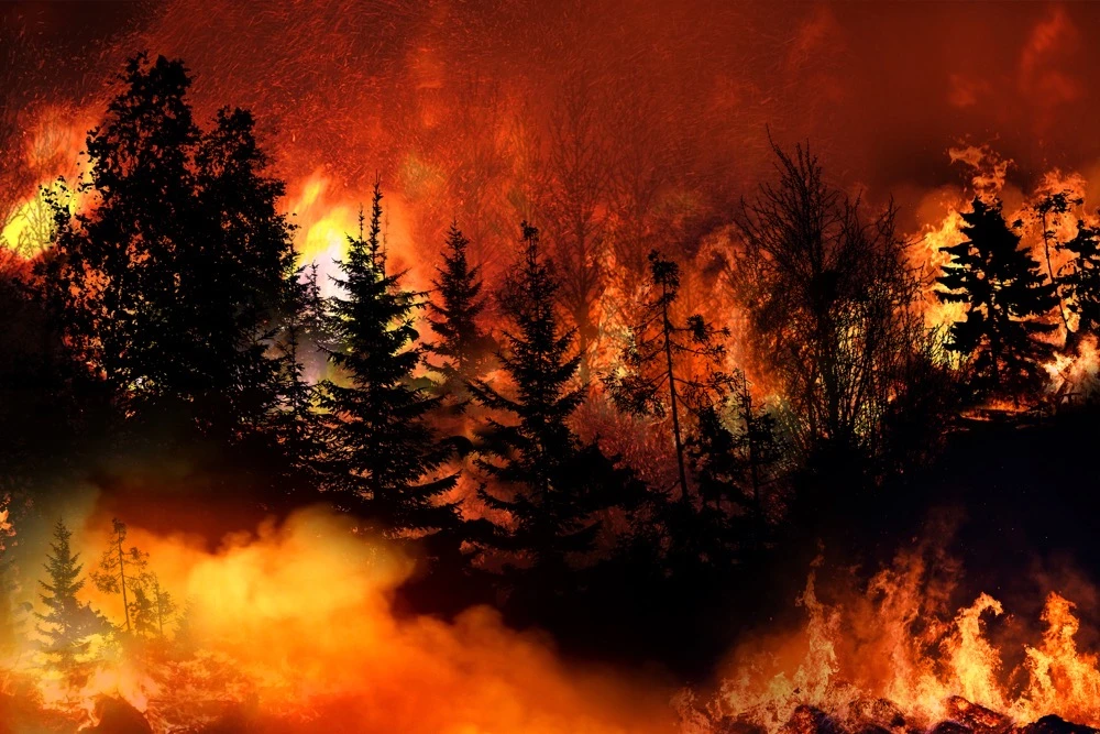 Europe faced one of its worst summers for fire. (Shutterstock)