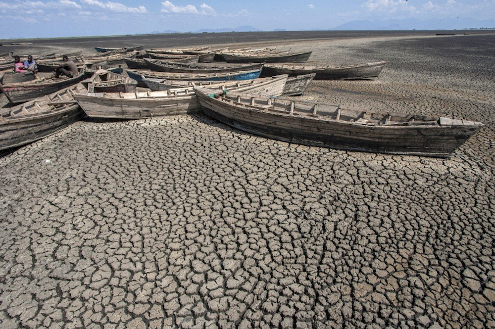 Africa must chart its own course on climate change
