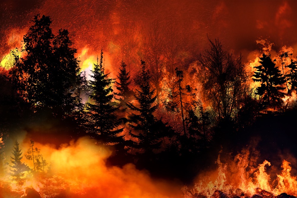 Europe faced one of its worst summers for fire. (Shutterstock)