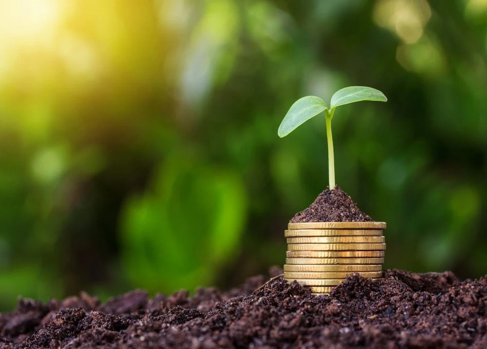 Saudi-based SaaS startup raises $1.3m in seed funding