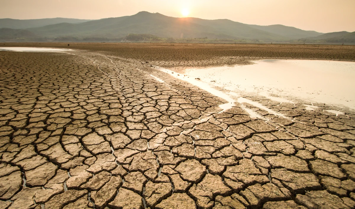 Arabs view access to water as most pressing environmental issue, survey finds