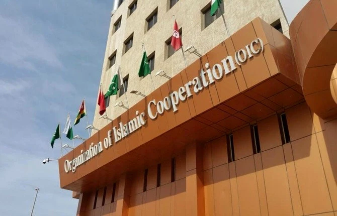 OIC discusses tackling global health crises
