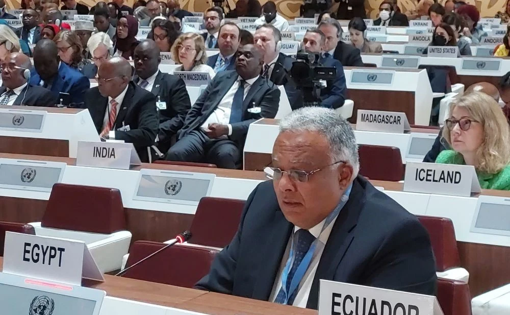 Egyptian envoy calls for UNHCR funding increase