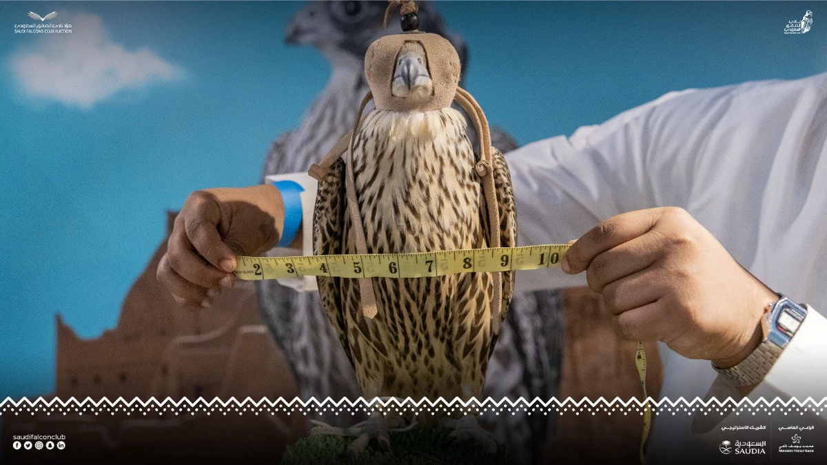 Saudi falcon auction sale exceeds SR1 million amid fierce competition