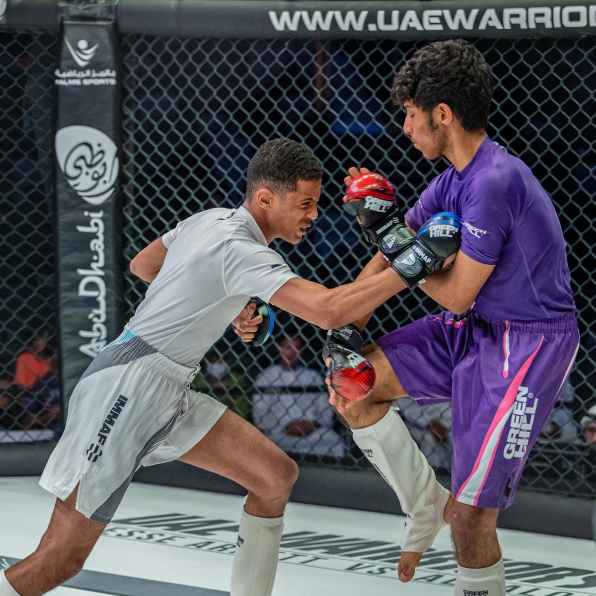 The second Mixed Martial Arts Youth Championship takes place at Zayed Sports City’s Jiu-Jitsu Arena. (UAE MMA)