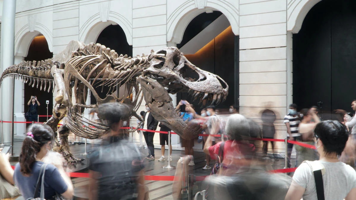Dinosaur skeleton draws crowds in Singapore before auction