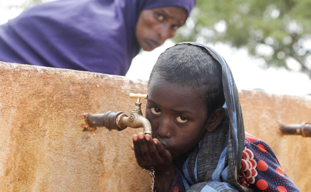 Yes, we can feed our hungry world