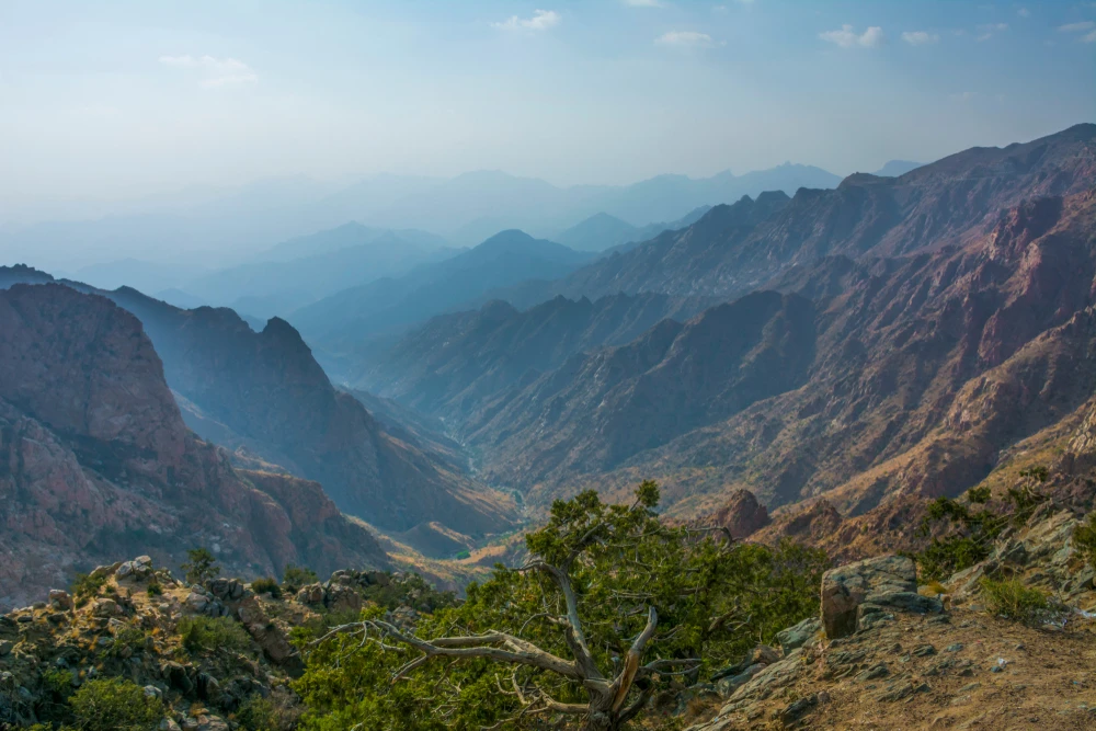 Saudi Arabia highlights environmental action after rise up prestigious global green index