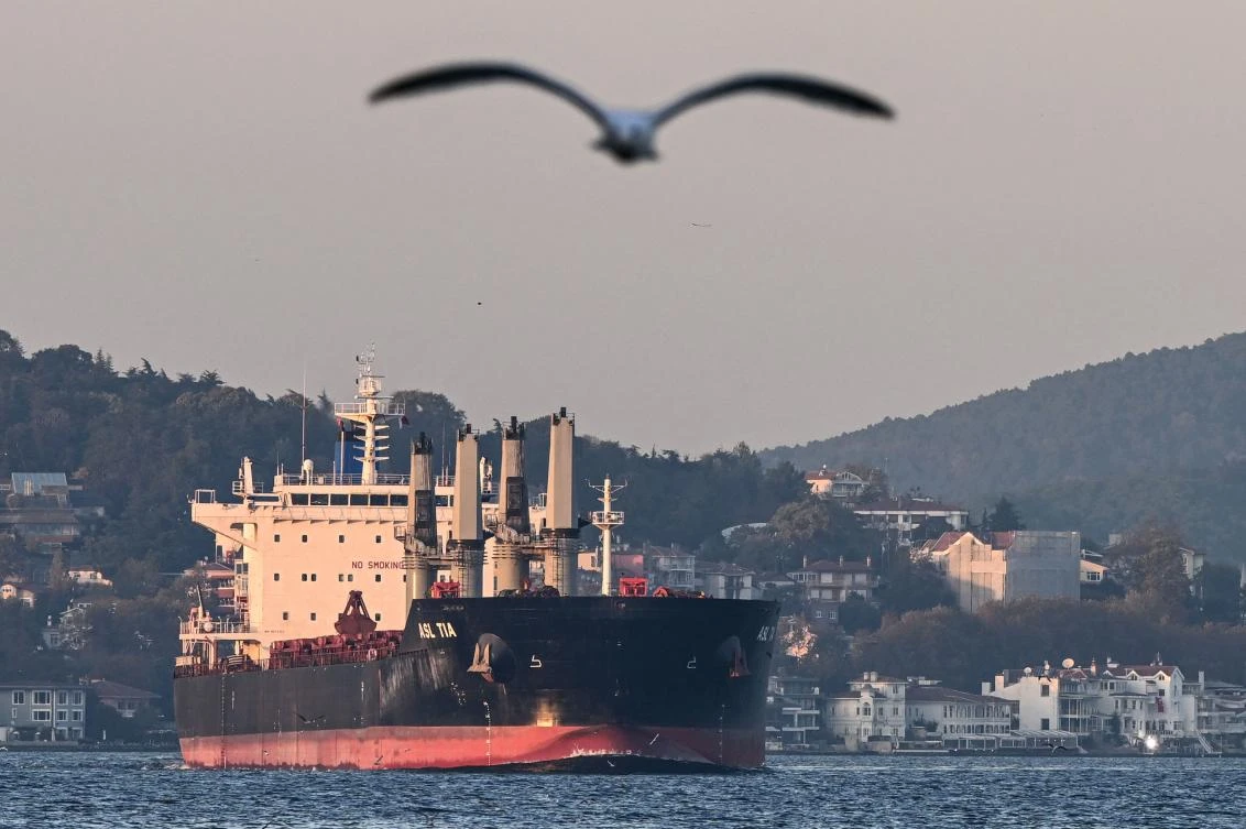 Asl Tia, a cargo vessel carrying Ukrainian grain, sails on Bosphorus to Marmara sea, in Istanbul, on November 2, 2022. (AFP)